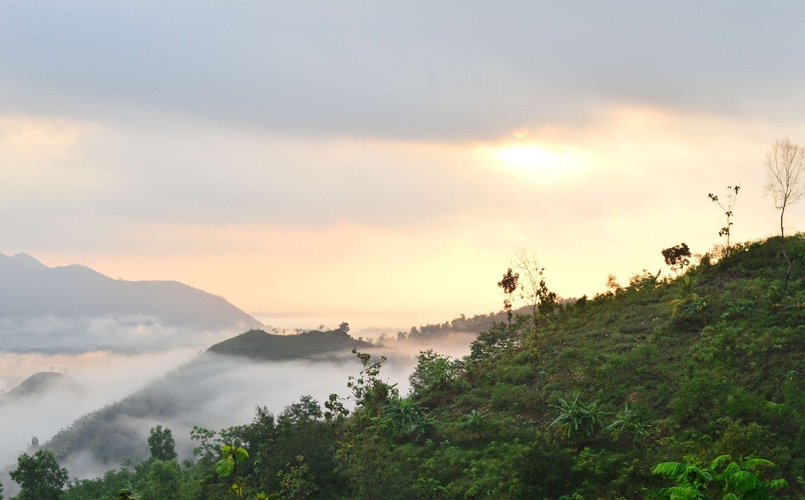 Bukit Banyon, Pesona Negeri di Atas Awan di Trenggalek, Jawa Timur