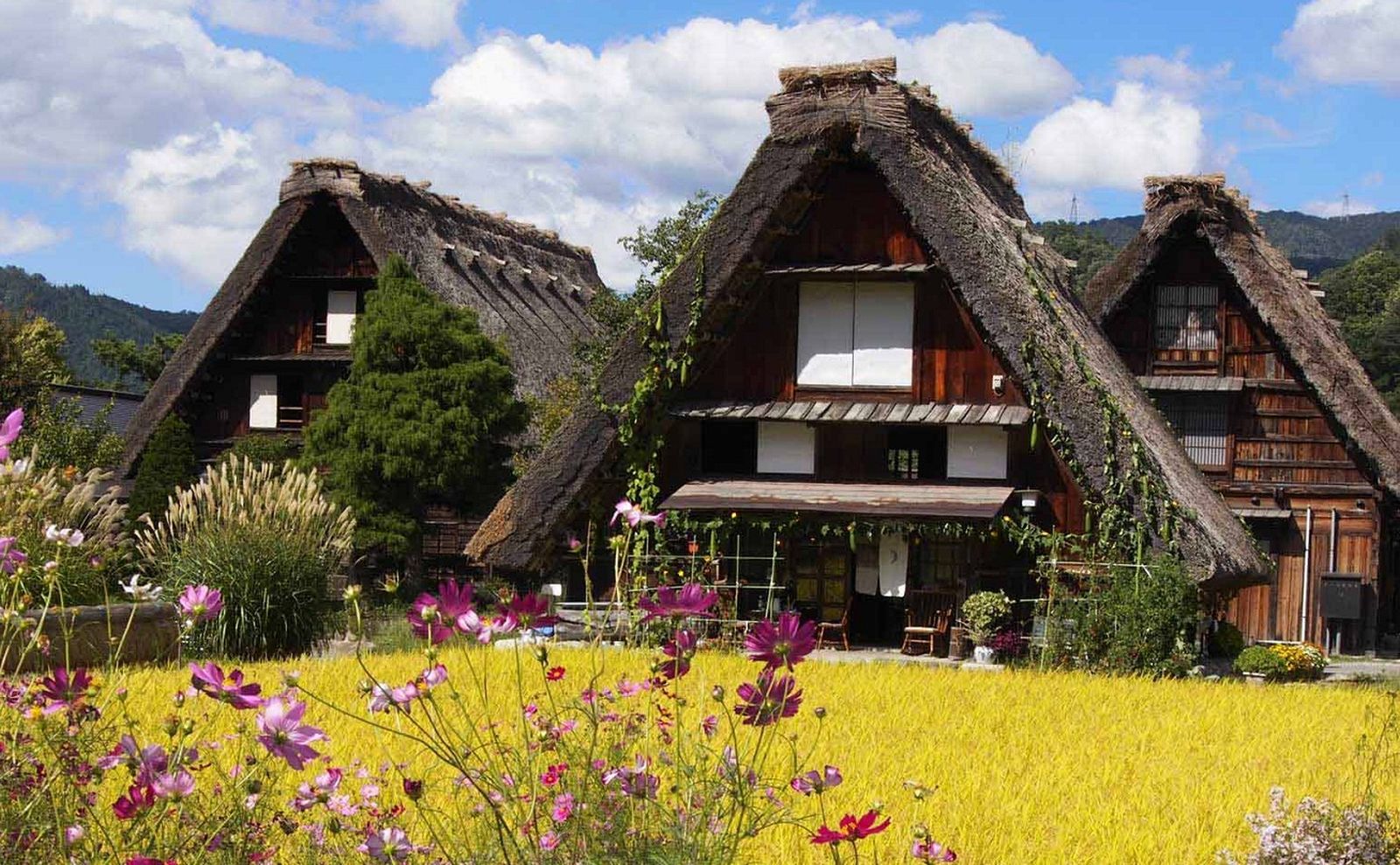 Intip Yuk Desa Paling Indah Di Jepang. Siapa yang Mau Kesini?