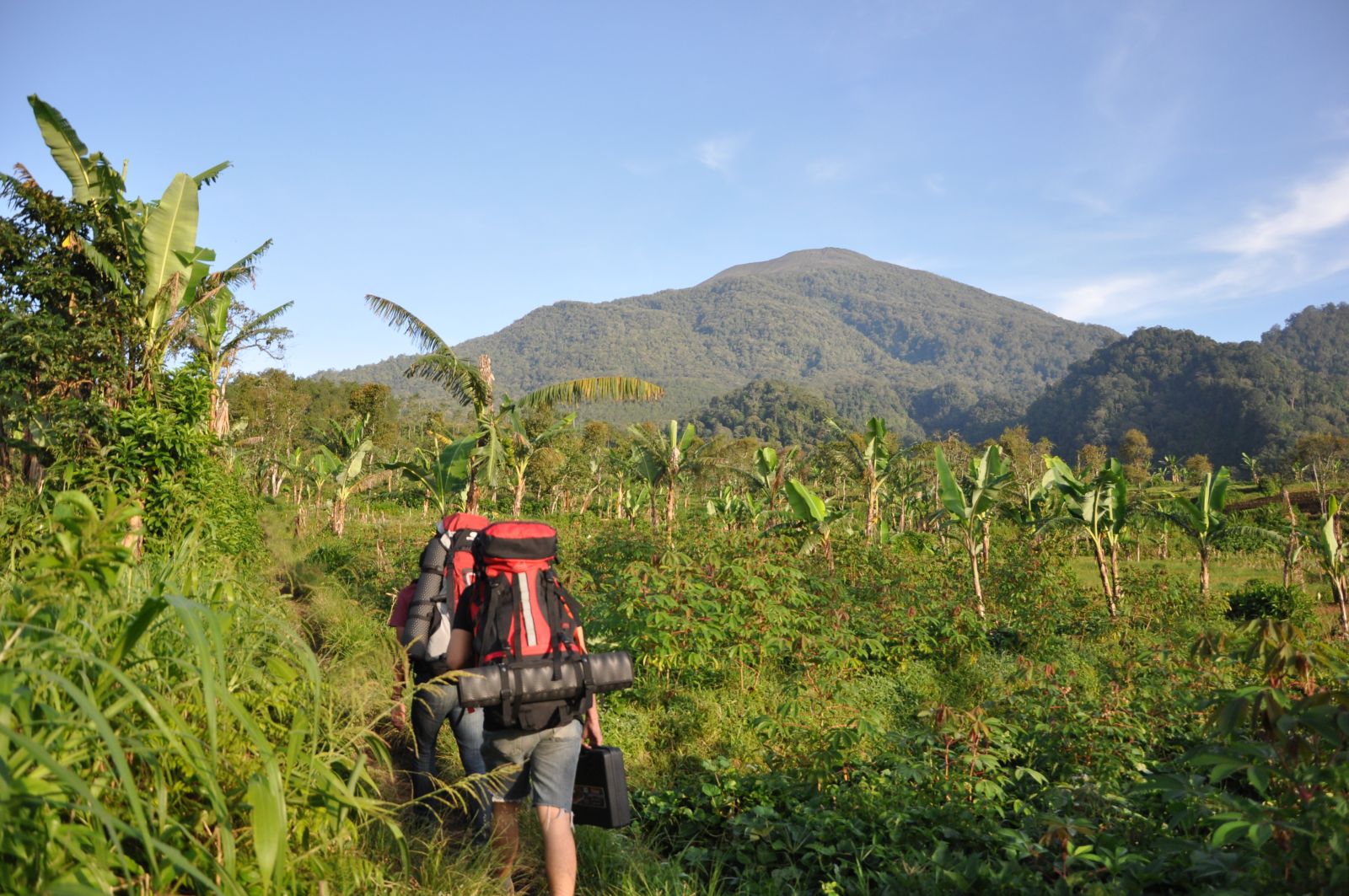 Pilihan Carrier Nyaman Buat Pendaki Gunung
