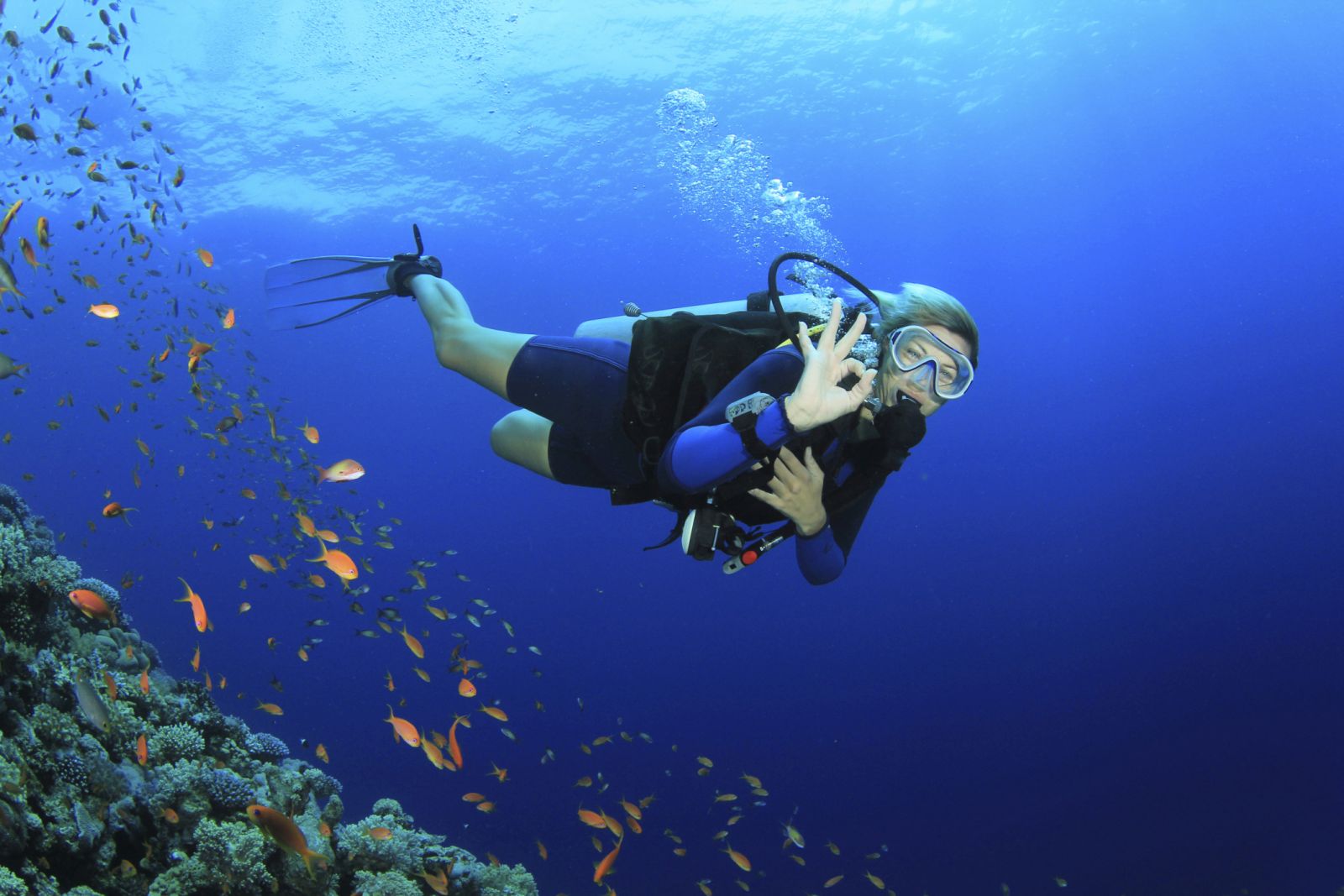 Buat Lo Yang Pengen Diving, Syarat-Syarat Ini Yang Harus Lo Penuhin