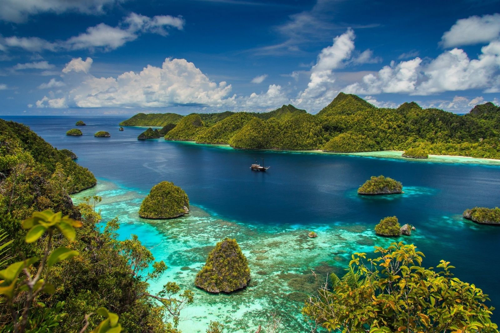 Selain Diving, Raja Ampat Ternyata Punya Spot Cliff Jumping Yang Memicu Adrenaline, Berani?