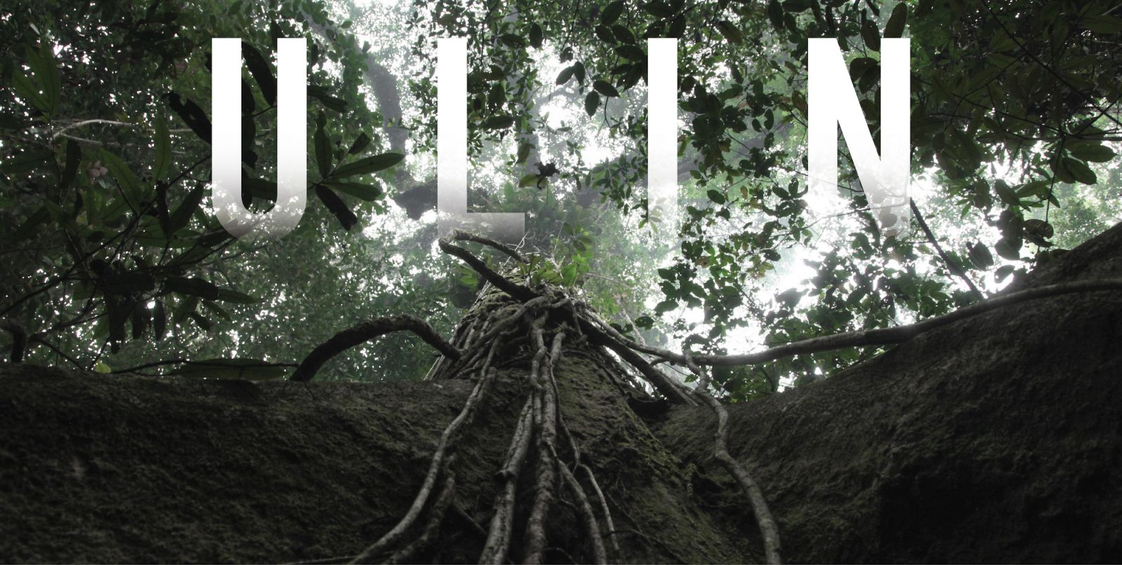 Bongkar Mitos Hutan Adat Ulin 