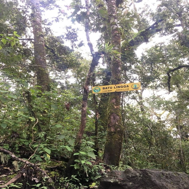 Kakek Dengan Jubah Putih