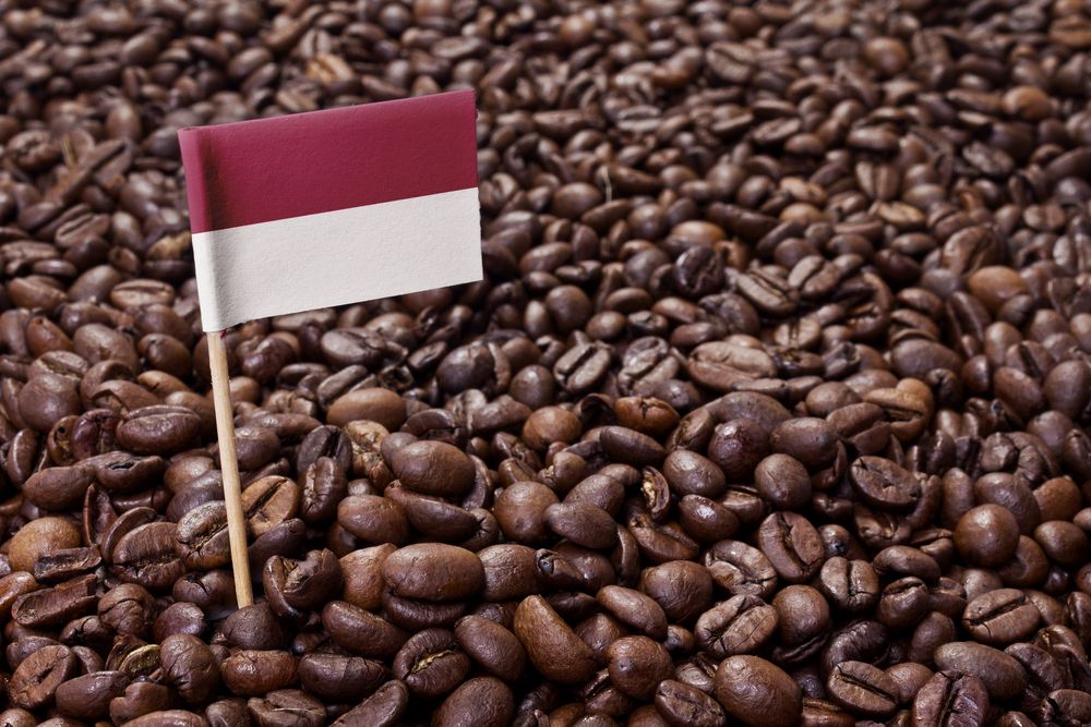 Aroma Kopi Indonesia Yang  Sudah Mendunia (98% Nikmat)