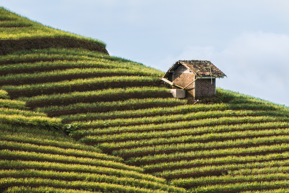 Nirwana Yang Tersimpan Di Desa Wisata Bantaragung