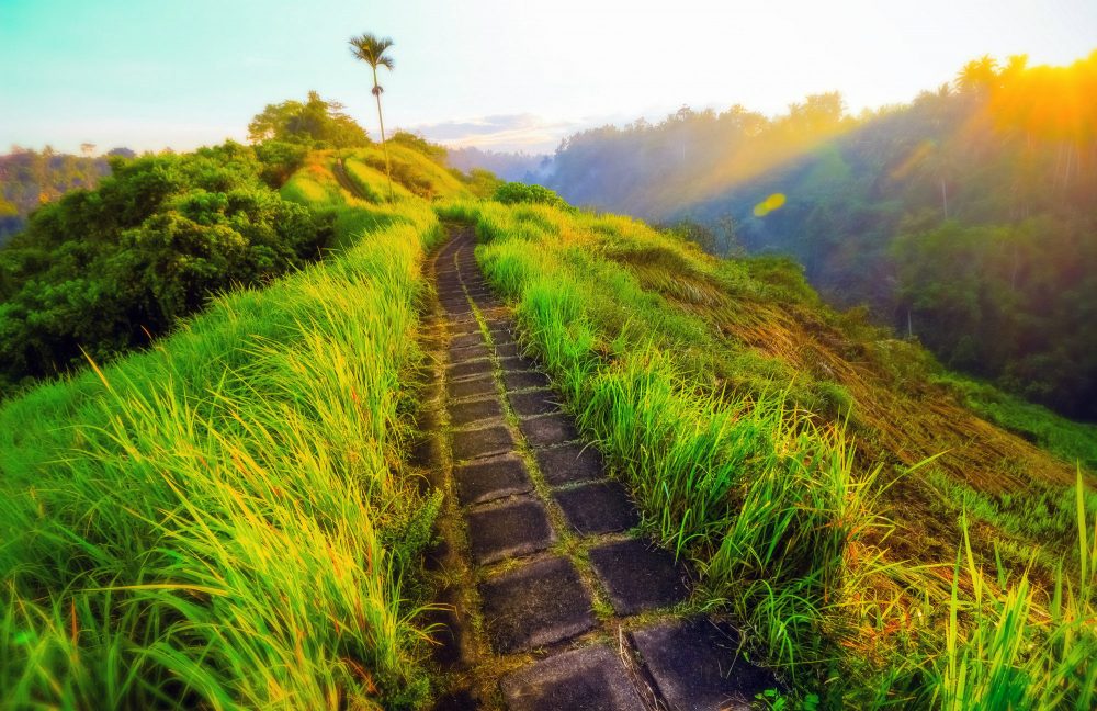 Bukit Campuhan, Perhatikan 5 Hal Ini Sebelum Trekking Ke Sana, Bro! 