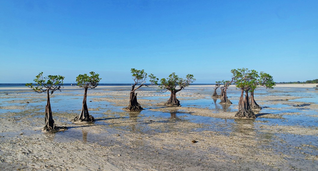 Pantai Walakiri, Titipan Ibu Pertiwi Di Negeri Sumba Beserta 6 Fakta Uniknya!