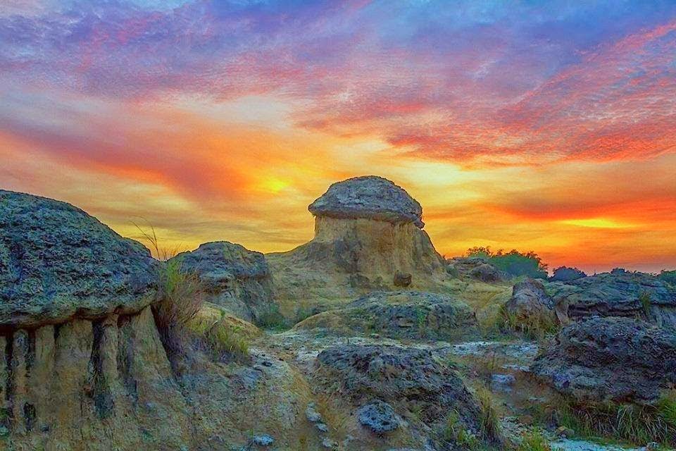 Bukit Jamur Gresik, Spot Petualangan Unik dan Instagrammable, Bro! 