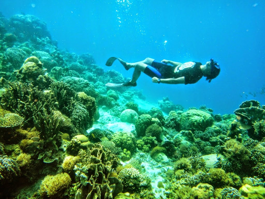Melihat Keindahan Pulau Kapoposang, Surga Bahari Dari Sulawesi Selatan