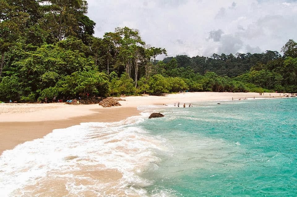 Menelusuri Teluk Hijau, Pantai Perawan Di Ujung Banyuwangi Serta 5 Fakta Uniknya