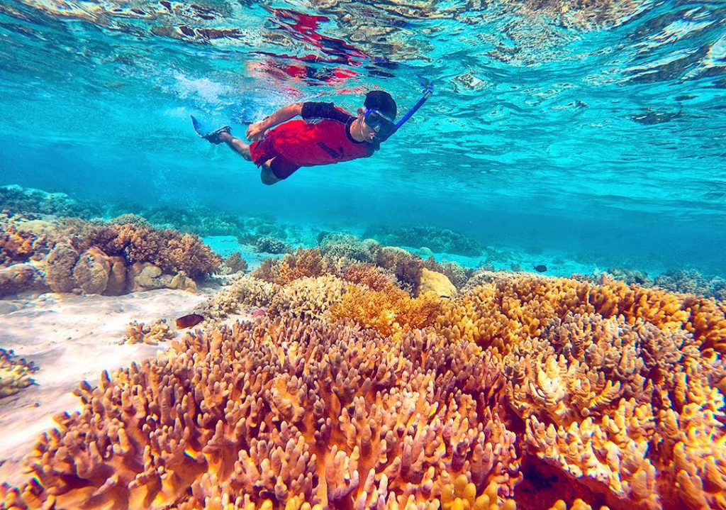 5 Spot Snorkeling Di Indonesia Yang Buat Petualang Tidak Mau Pulang