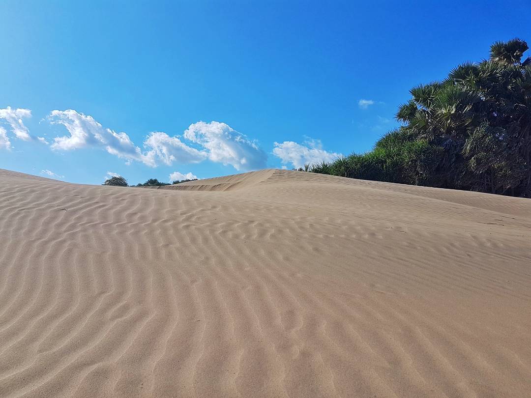 5 Fakta Yang Dapat Mengungkap Indahnya Padang Pasir Di Pantai Oetune