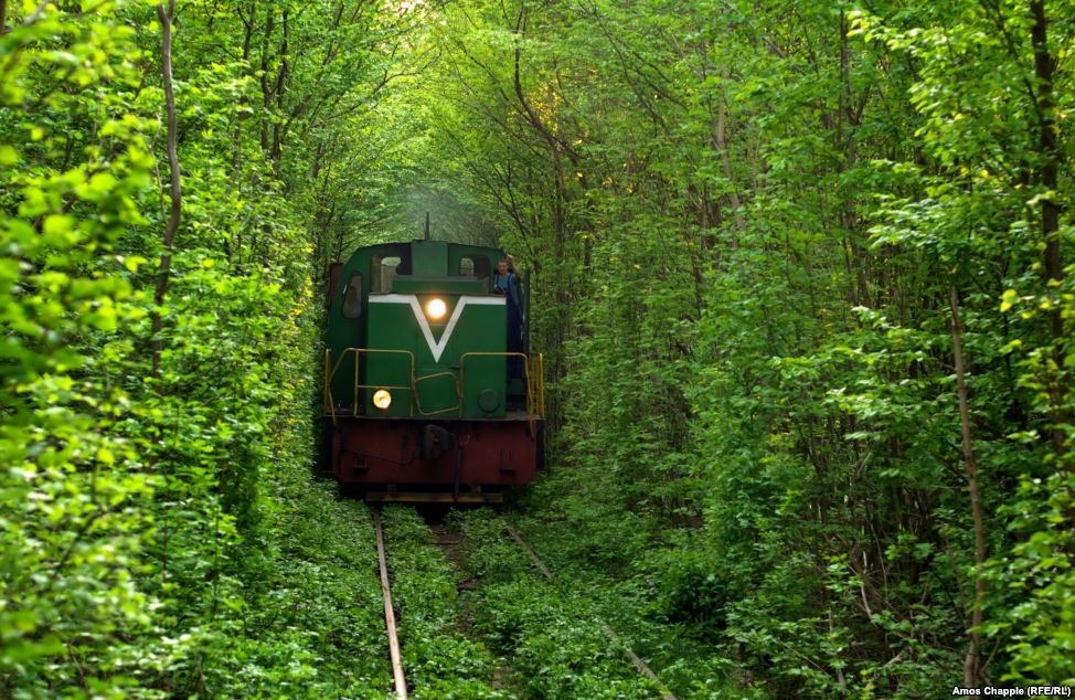 Tunnel of Love, Terowongan Kereta di Ukraina Yang Instagrammable! 