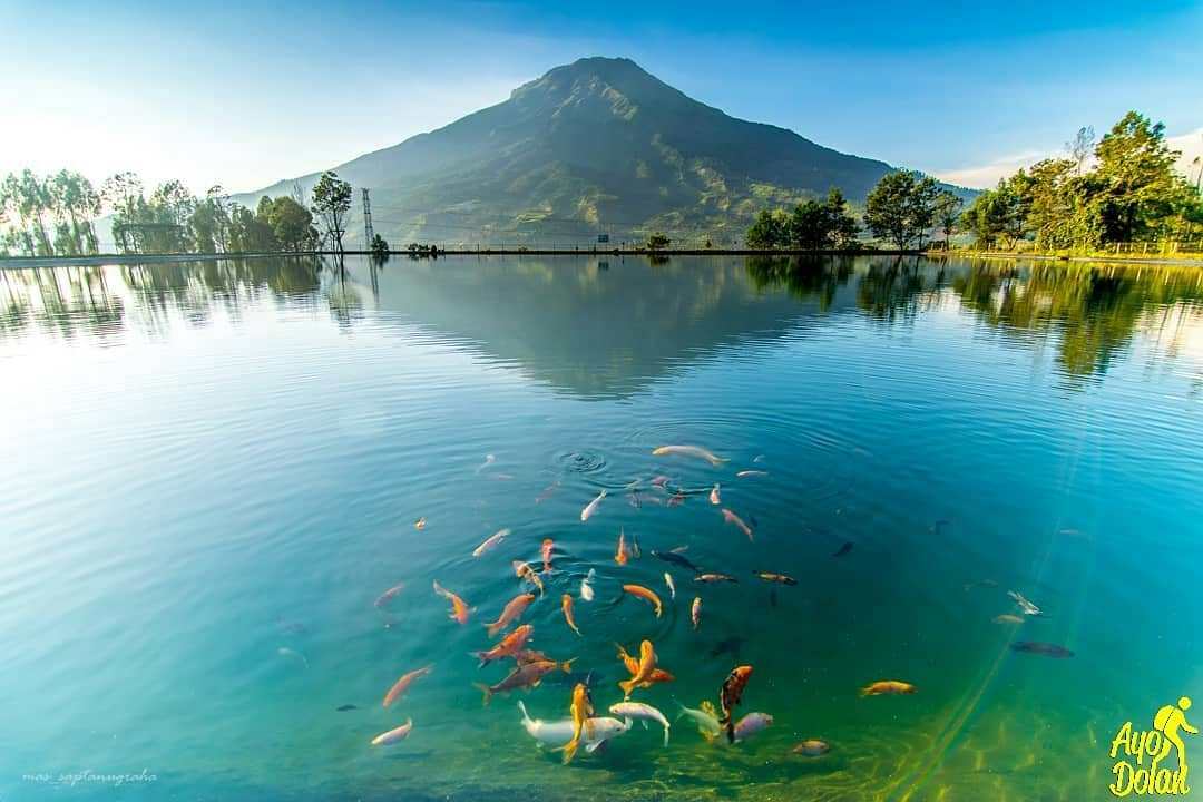Embung Kledung, 5 Fakta Menarik Dibalik Replika Gunung Fuji Jepang!