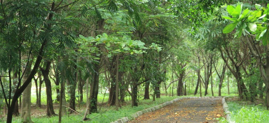 5 Hutan Kota di Jakarta yang Bisa Lo Nikmati Selain dari Kesibukan Ibukota!