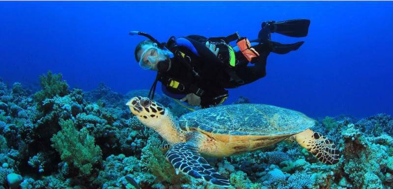 Snorkeling di Bunaken? Jangan Lupa Mampir di 8 Spot Keren Ini! 