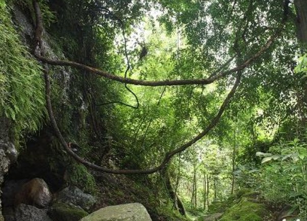 Gua Gembyang, Misteri dan Mistis Dari Mojokerto - Jawa Timur