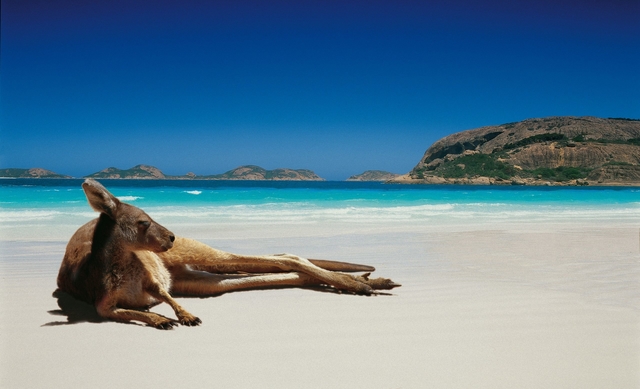 7 Rekomendasi Tempat Wisata di Australia yang Patut Untuk Lo Kunjungi Bro!