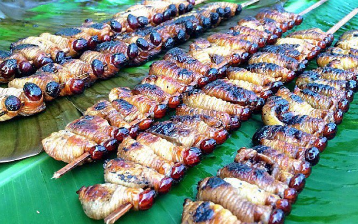 7 Makanan Paling Aneh yang Ada di Dunia. Mau Mecobanya Bro?