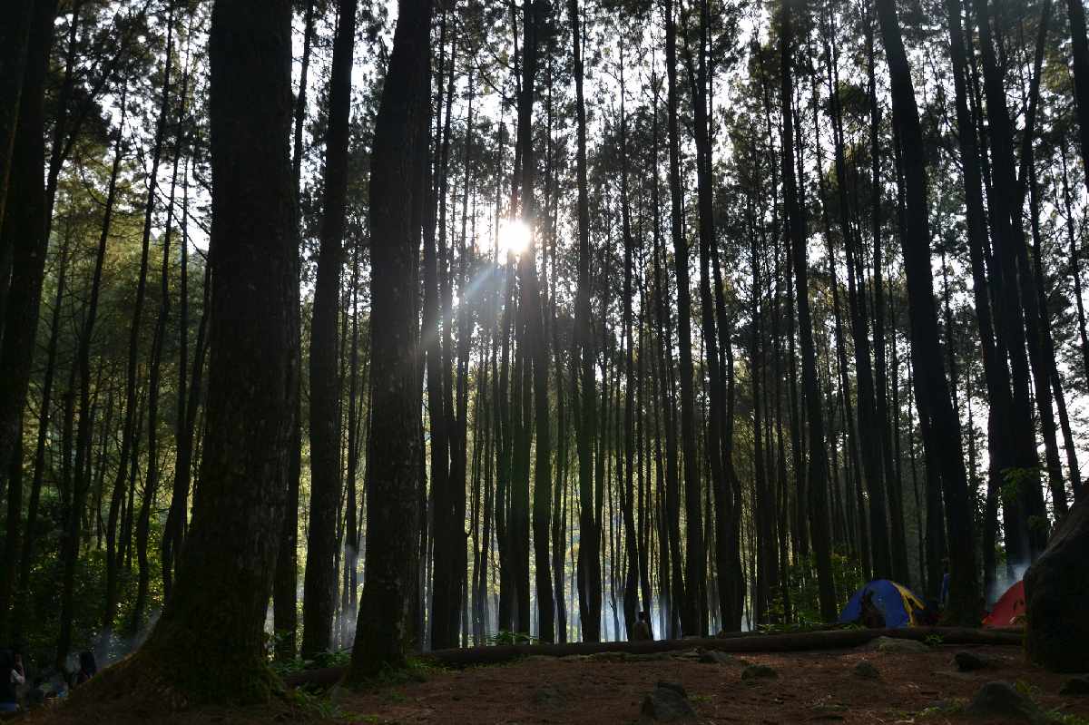 Waktu Petualangan Terbatas? Loji Suaka Elang Bogor Menjadi Jawaban Yang Tepat, Nih! 