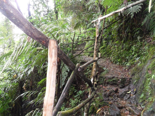 Perjalanan Menuju Curug Seribu