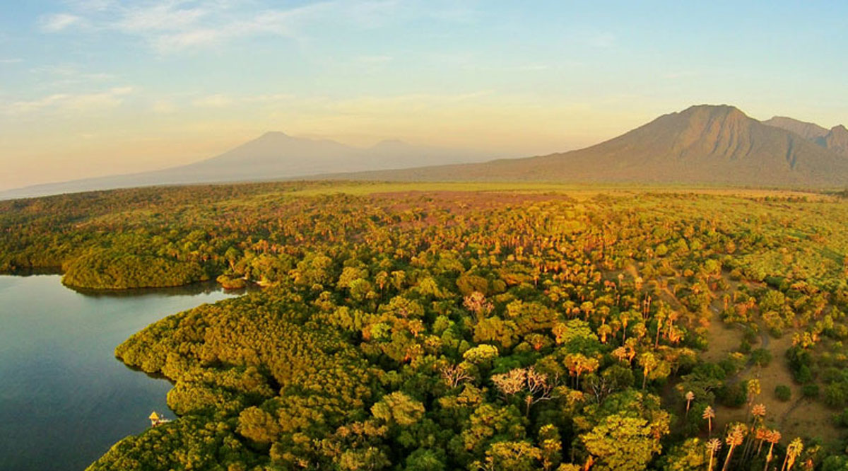 8 Spot Luar Biasa Indah di Sekitar Taman Nasional Alas Purwo! 