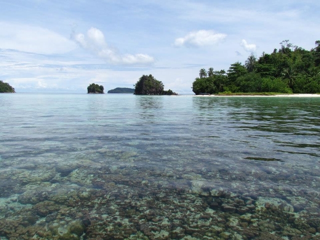Pulau Kalimantung Ketek – Waktu yang Tepat