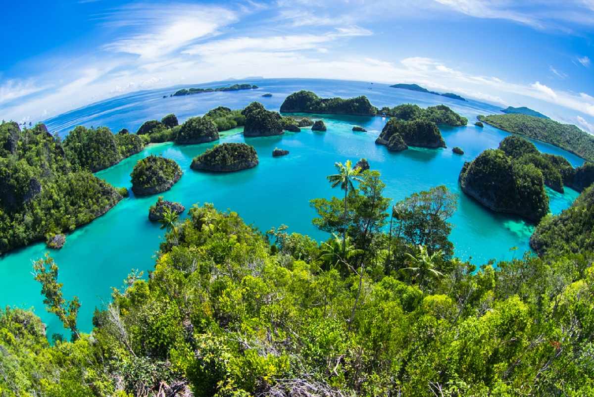 5 Spot Snorkeling Populer Favorit Para Petualang di Raja Ampat, Papua!