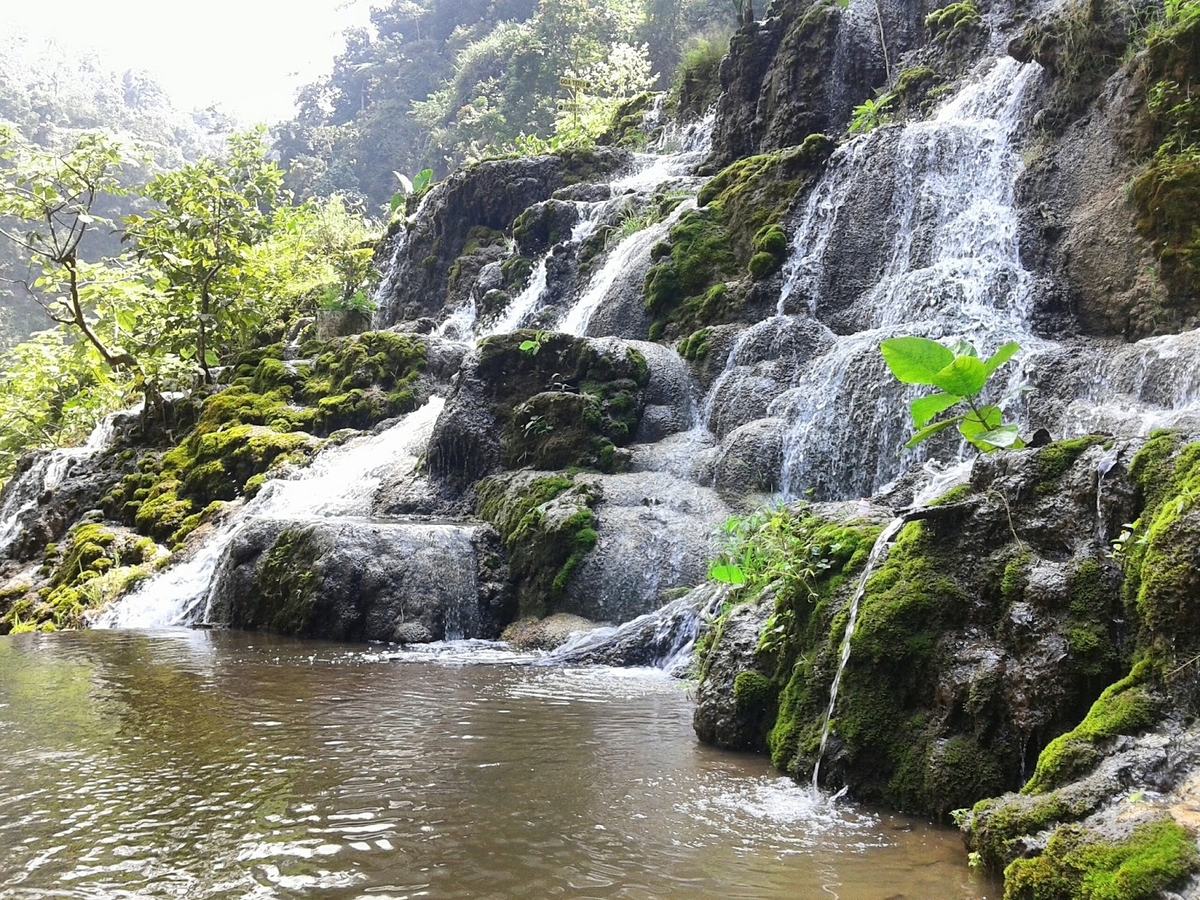 Air Terjun Gua Tetes, Keindahan Alam di Kawasan Lumajang yang Memukau!