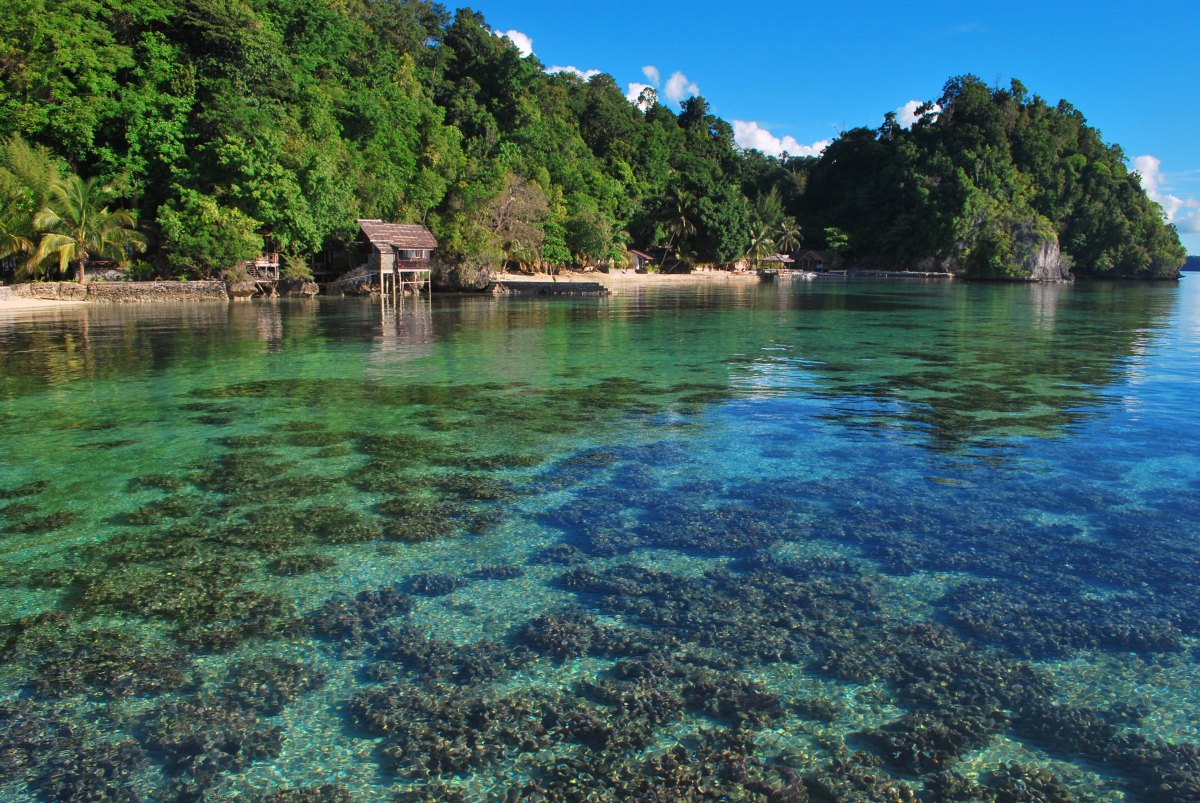 Tips Wisata Hemat Ini Ampuh Ketika Lo Liburan di Taman Nasional Kepulauan Togean!