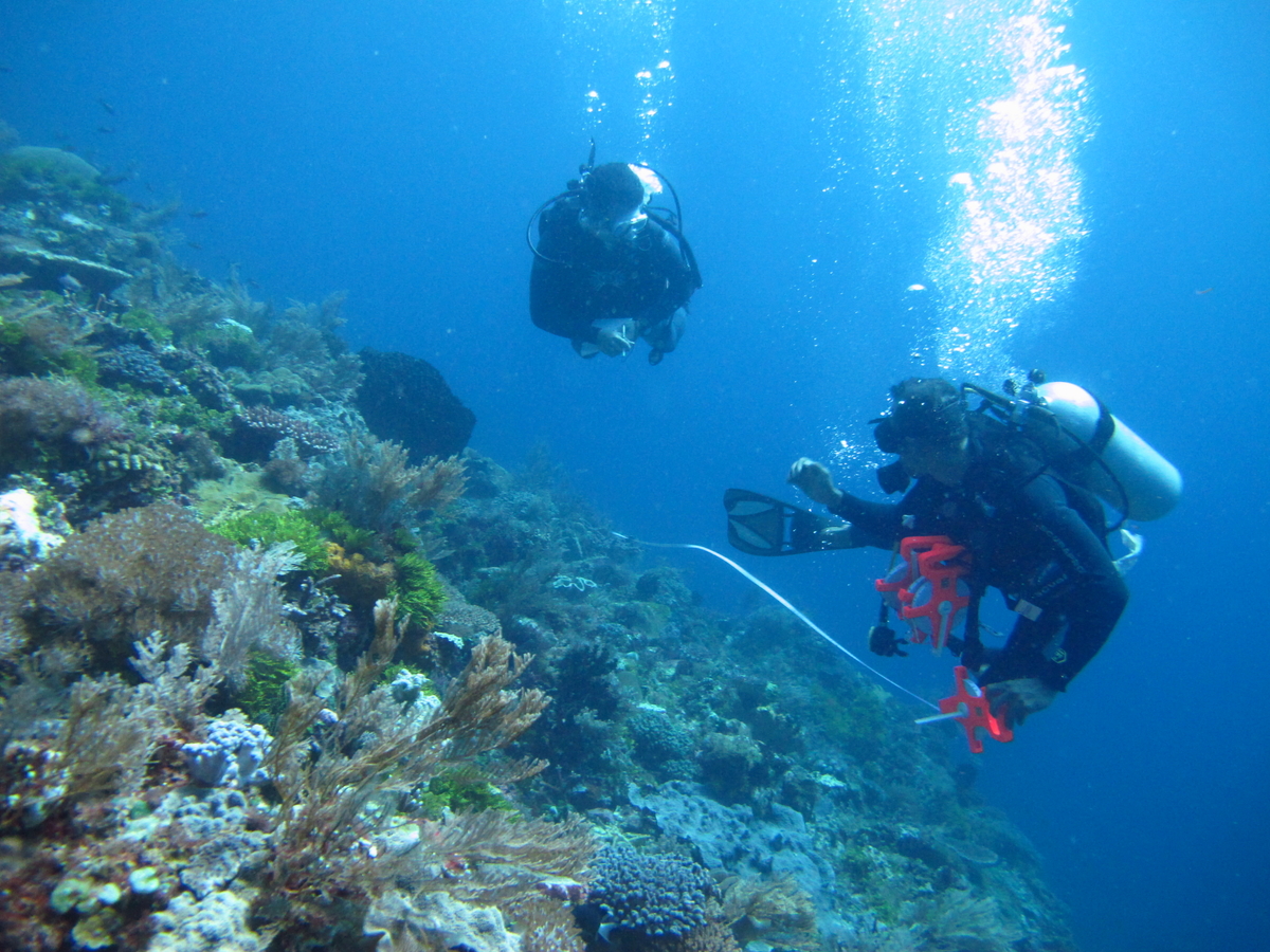 I DARE EXPLORE INDONESIA: Keindahan Alam Bawah Laut yang Harus Selalu Dihargai!