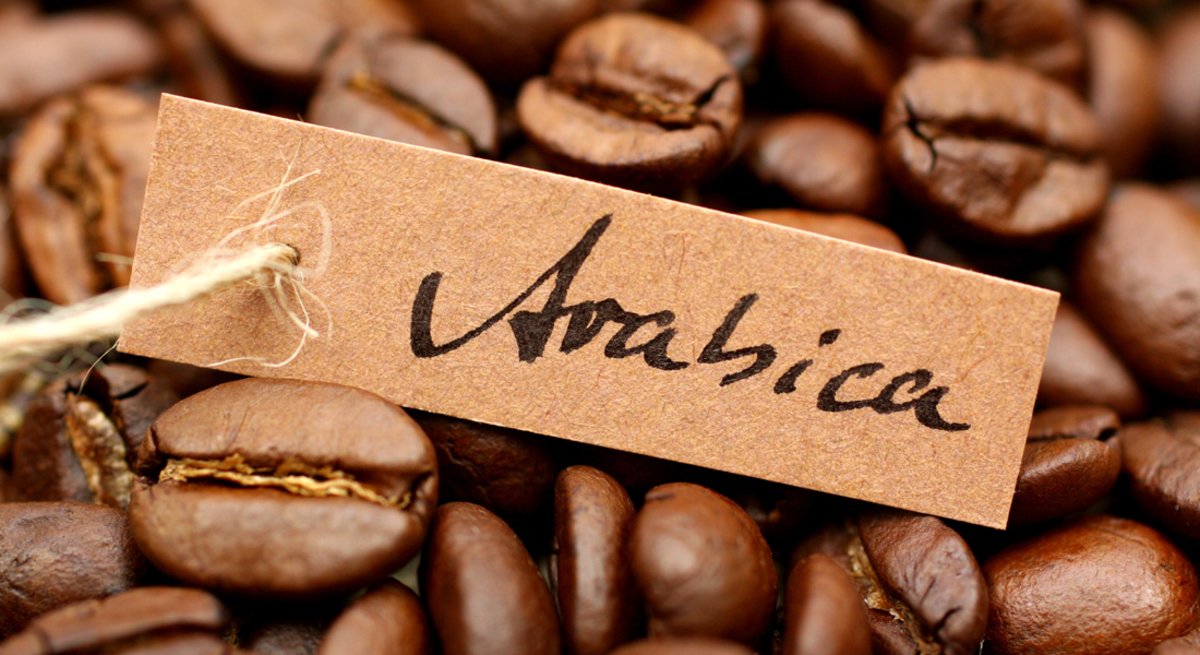 Suka Kopi Jenis Arabika? Ini Dia 10 Pilihan Biji Kopi Terbaik Dunia di Tahun 2018