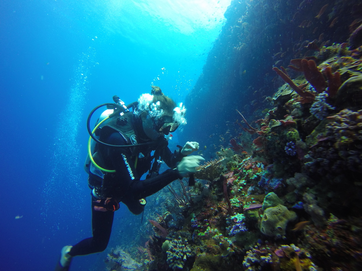 I DARE XPLORER INDONESIA: Aktivitas Diving dan Snorkeling di Pulau Alor yang Indah!