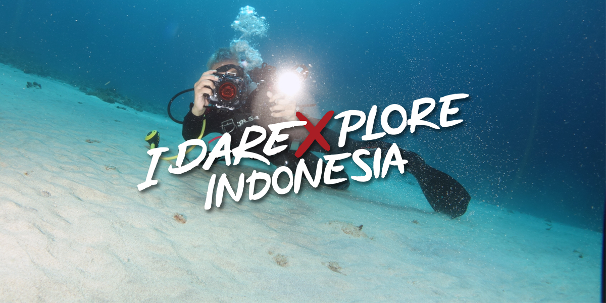 Mengetahui 6 Tips Untuk Diving Serta Memahami Karakteristik Alam Bawah Laut Alor!