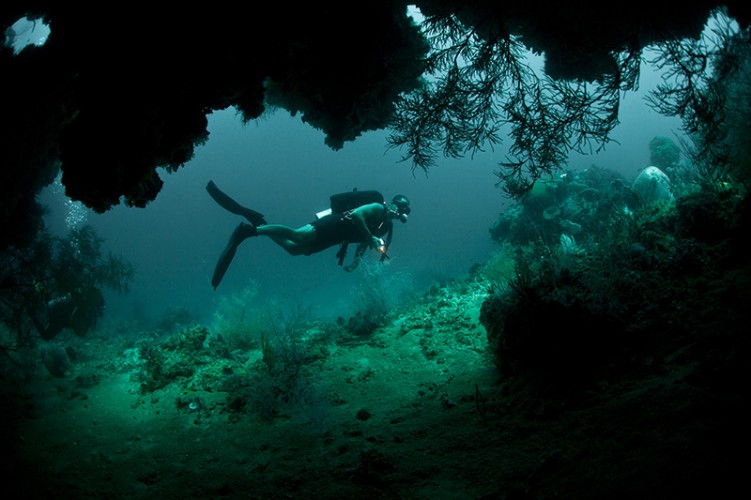 7 Alasan Lo Harus Berpetualang di Alor, Bisa Ketemu Kawanan Lumba-lumba, Lho!