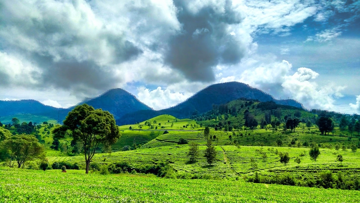 7 Wisata Pangalengan Ini Dijamin Bisa Mengobati Rasa Stress Lo!