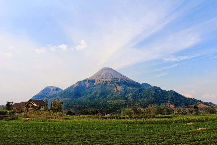 5 Alasan Mengapa Lo Harus Mendaki Gunung Penanggungan Beserta 4 Jalur Pendakiannya