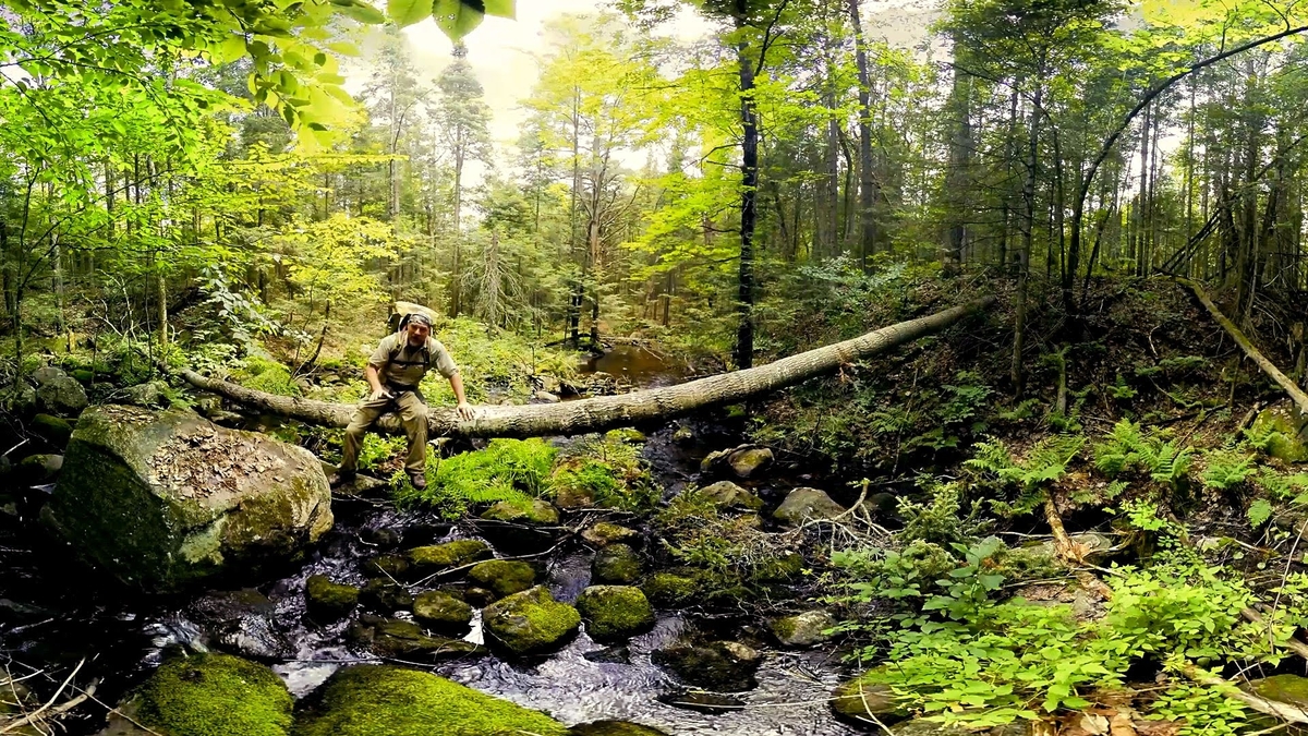 5 Tips Survival ini Ampuh Agar Lo Bisa Selamat Pada Saat Keadaan Darurat di Alam Bebas!