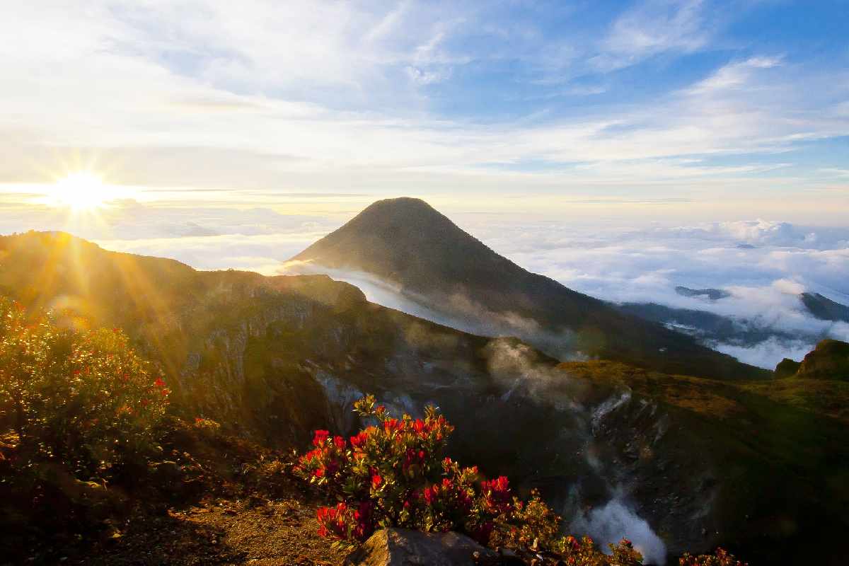 8 Keistimewaan Gunung Gede Pangrango Yang Mungkin Belum Lo Tahu Superlive 