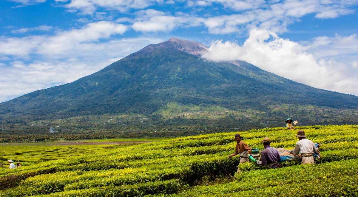 5 Bahaya yang Patut Diwaspadai Pendaki Gunung Kerinci
