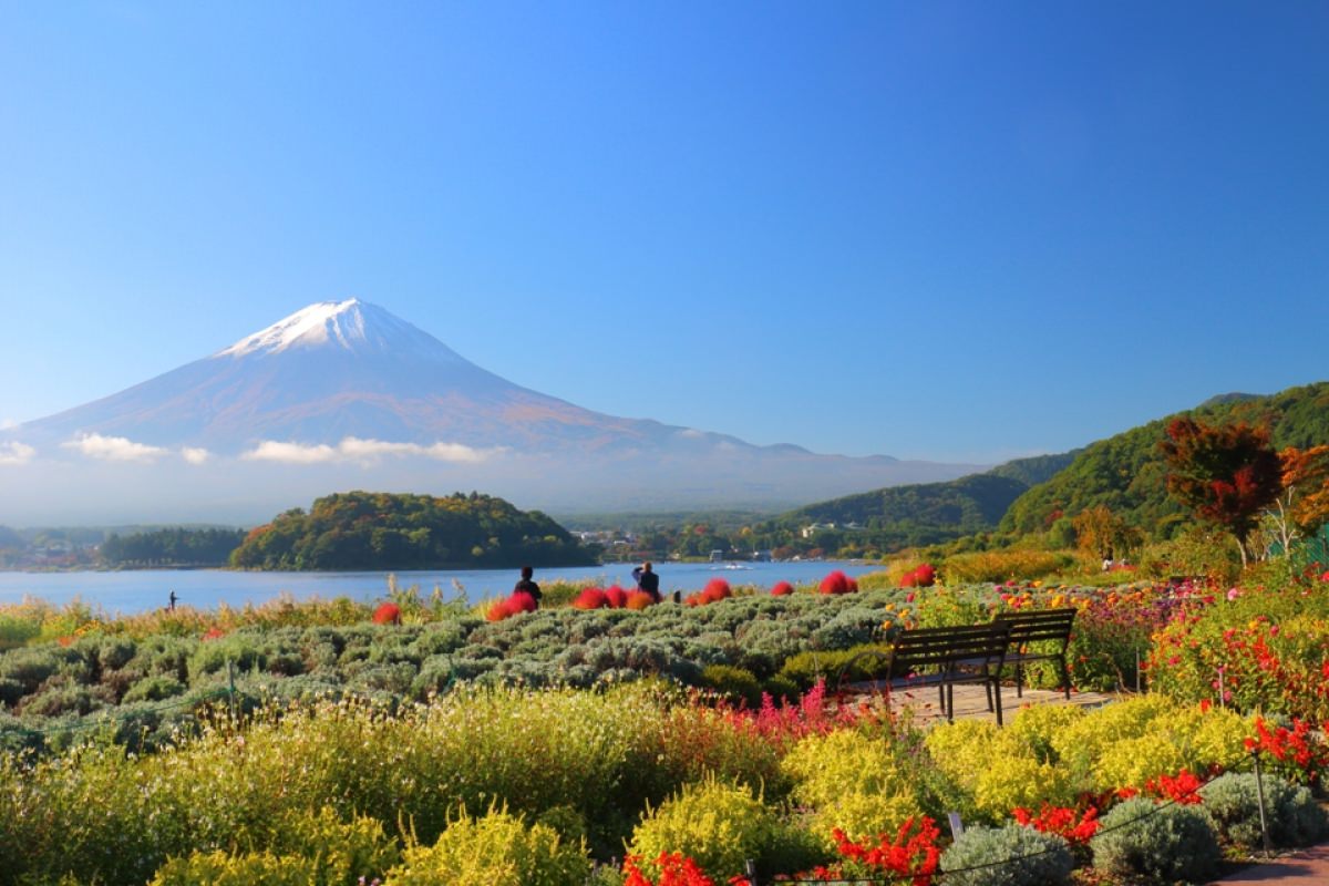 Ingin Menikmati Keindahan Gunung Fuji Lebih Dekat? Kunjungi 4 Lokasi Ini Bro!