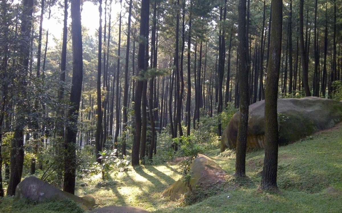 7 Gunung Ini Dapat Lo Jadikan Tempat Bersepeda yang Seru