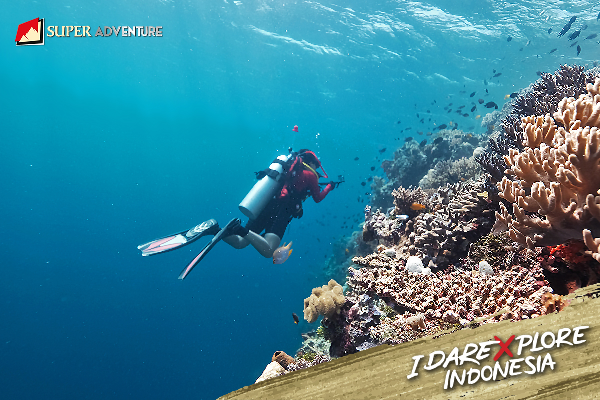 6 Fakta Seputar Keindahan Alam Bawah Laut yang Ada di Wakatobi! 