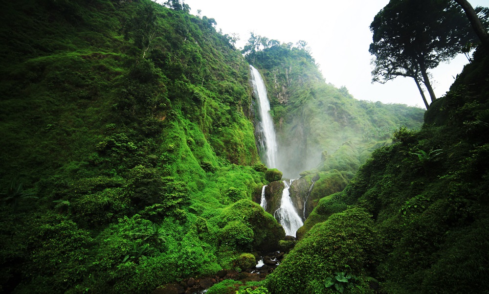 Air Terjun Citambur, Keindahan Alam yang Magis di Cianjur Jawa Barat!