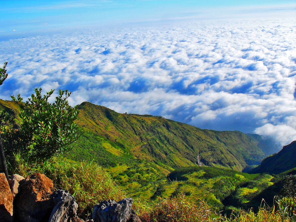 Jalur Pendakian Gunung Merbabu via Cuntel, Tanjakan Setan Sampai Lautan Awan!