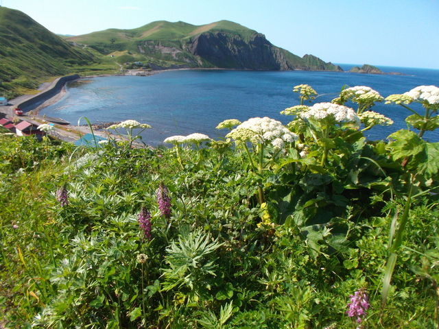 Pulau Terbesar di Jepang – Hokkaido