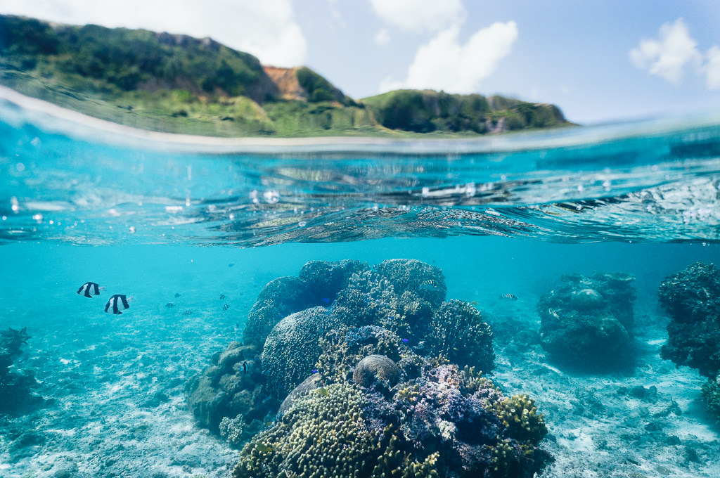 7 Spot Diving Terbaik yang Bisa Lo Kunjungi di Jepang