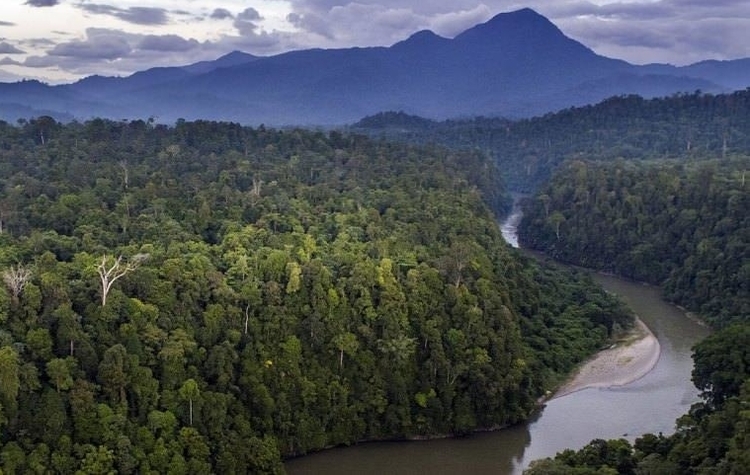 10 Fakta Menarik di Gunung Leuser yang Para Petualang Wajib Ketahui, Nih!