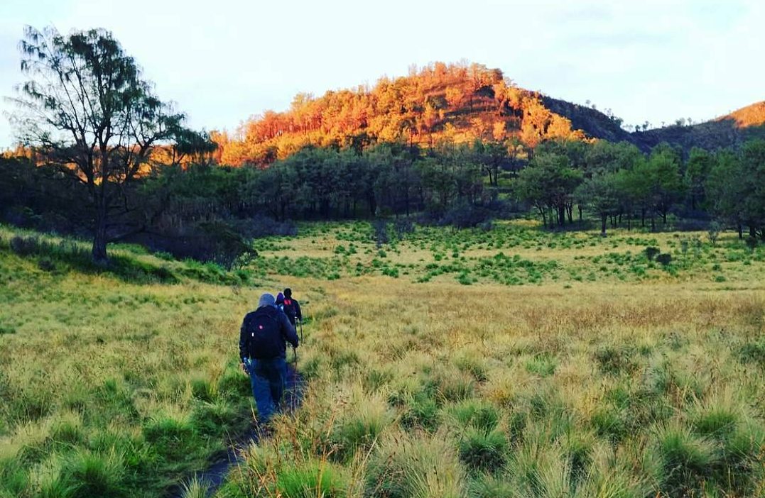 Misteri Gunung Lawu dan 2 Jalur Pendakiannya yang Populer di Kalangan Petualang!
