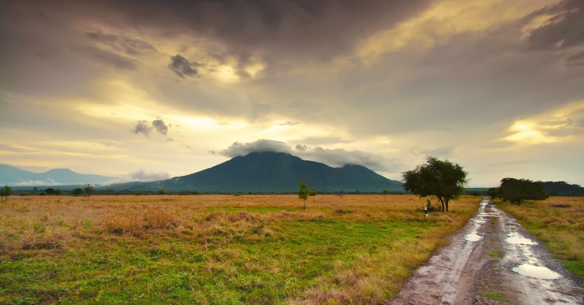 5 Pilihan Padang Rumput di Indonesia yang Memiliki Pemandangan Alam Nan Indah!